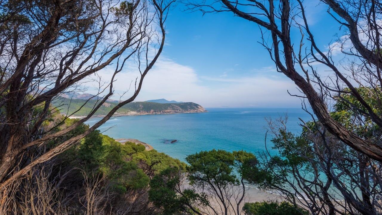 dog friendly places NSW