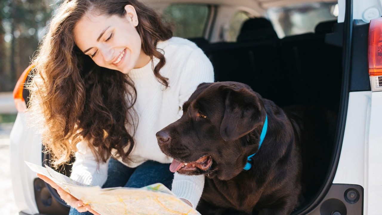 dog friendly places NSW