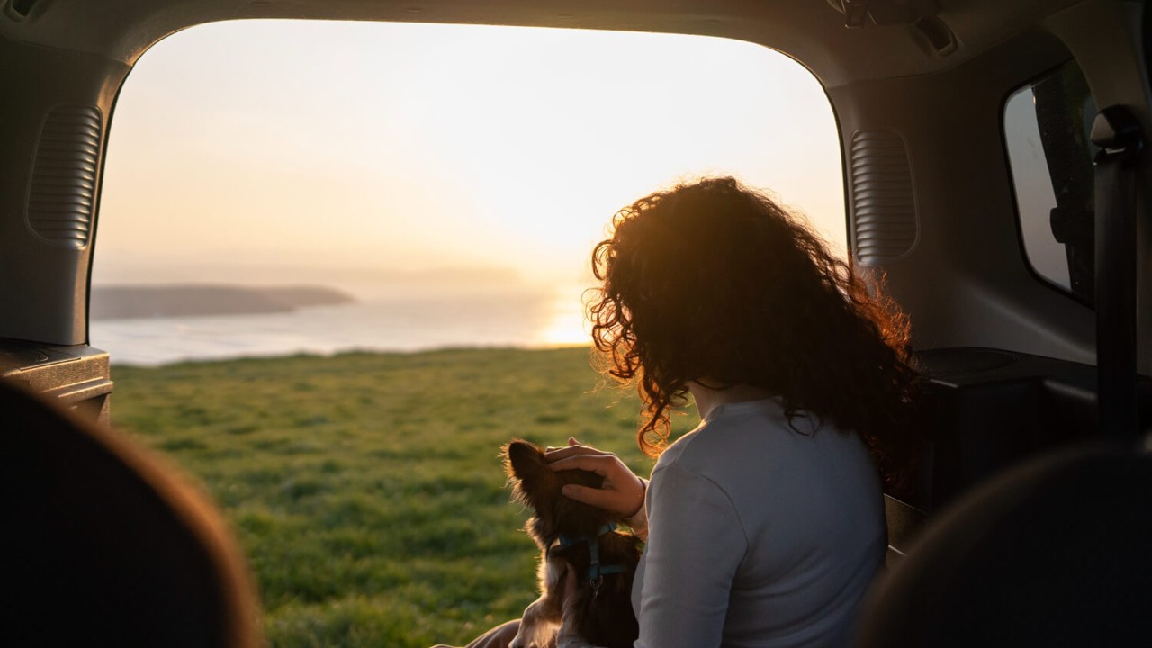 dog friendly places NSW