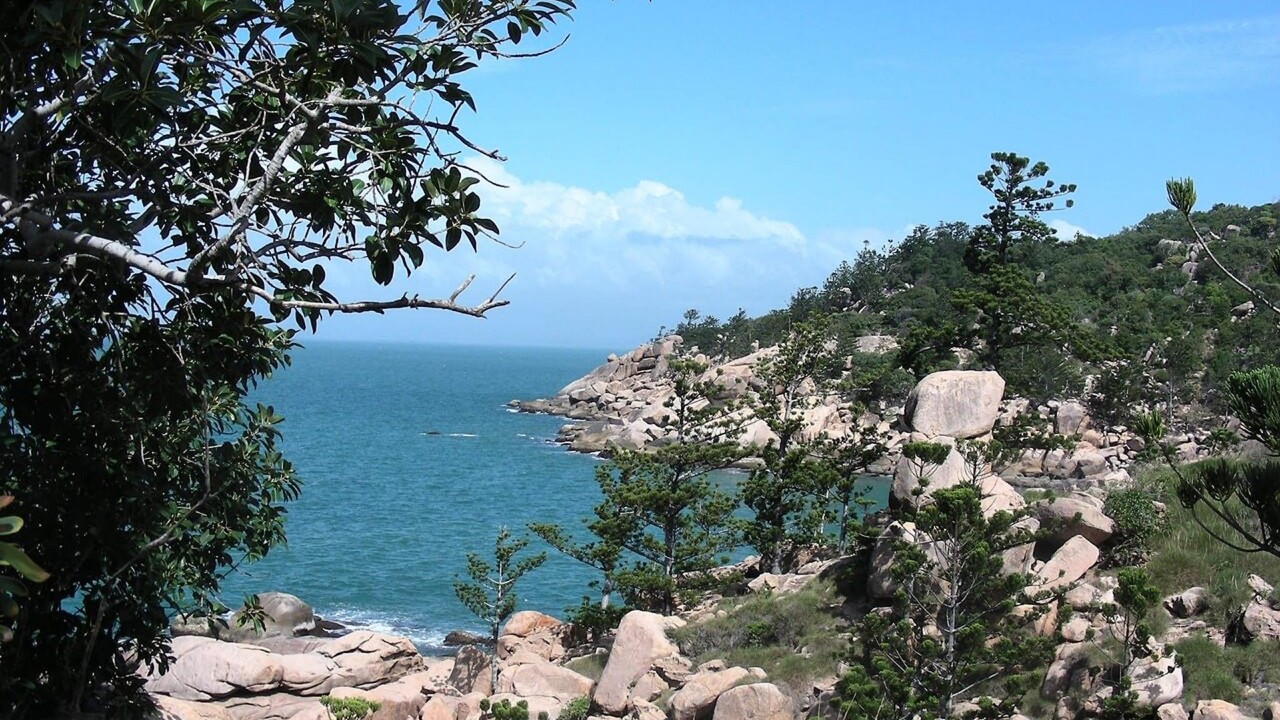 dog friendly places NSW