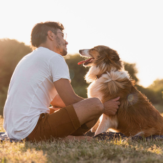 Top 10 Dog-Friendly Road Trips in Victoria